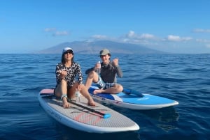 Мауи: частный урок паддлборда для начинающих