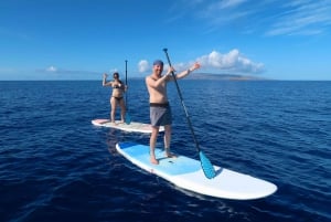 Мауи: частный урок паддлборда для начинающих
