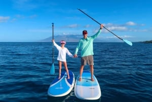 Maui: privéles stand-up paddleboard op beginnersniveau