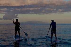 Maui: aula privada de stand-up paddle de nível iniciante