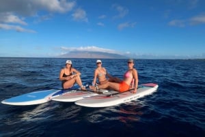 Maui: privéles stand-up paddleboard op beginnersniveau