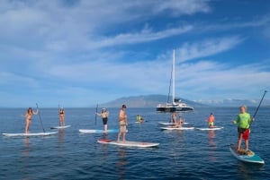 Maui: Aloittelijan tason yksityinen Stand-Up Paddleboard oppitunti: Aloittelijan tason yksityinen Stand-Up Paddleboard tunti