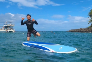 Мауи: Частный урок по падлбордингу стоя для начинающих