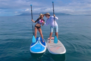 Мауи: Частный урок по падлбордингу стоя для начинающих