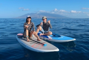Мауи: Частный урок по падлбордингу стоя для начинающих