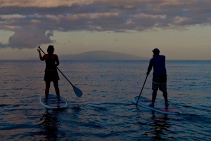 Мауи: Частный урок по падлбордингу стоя для начинающих