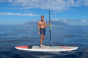 Мауи: Частный урок по падлбордингу стоя для начинающих
