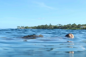 Мауи: Частный урок по падлбордингу стоя для начинающих
