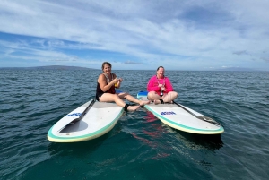 Мауи: Частный урок по падлбордингу стоя для начинающих