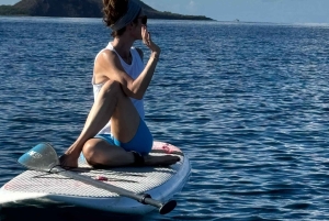 Мауи: Частный урок по падлбордингу стоя для начинающих