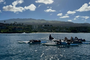 Мауи: Частный урок по падлбордингу стоя для начинающих