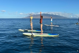 Мауи: Частный урок по падлбордингу стоя для начинающих
