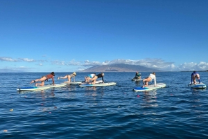 Мауи: Частный урок по падлбордингу стоя для начинающих