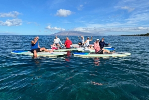 Мауи: Частный урок по падлбордингу стоя для начинающих