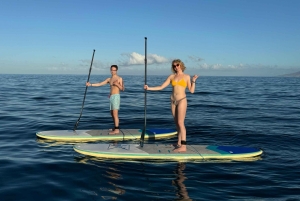 Мауи: Частный урок по падлбордингу стоя для начинающих