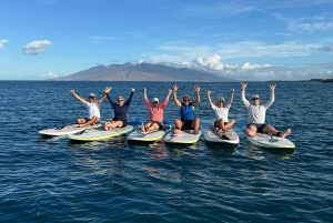 Мауи: Частный урок по падлбордингу стоя для начинающих