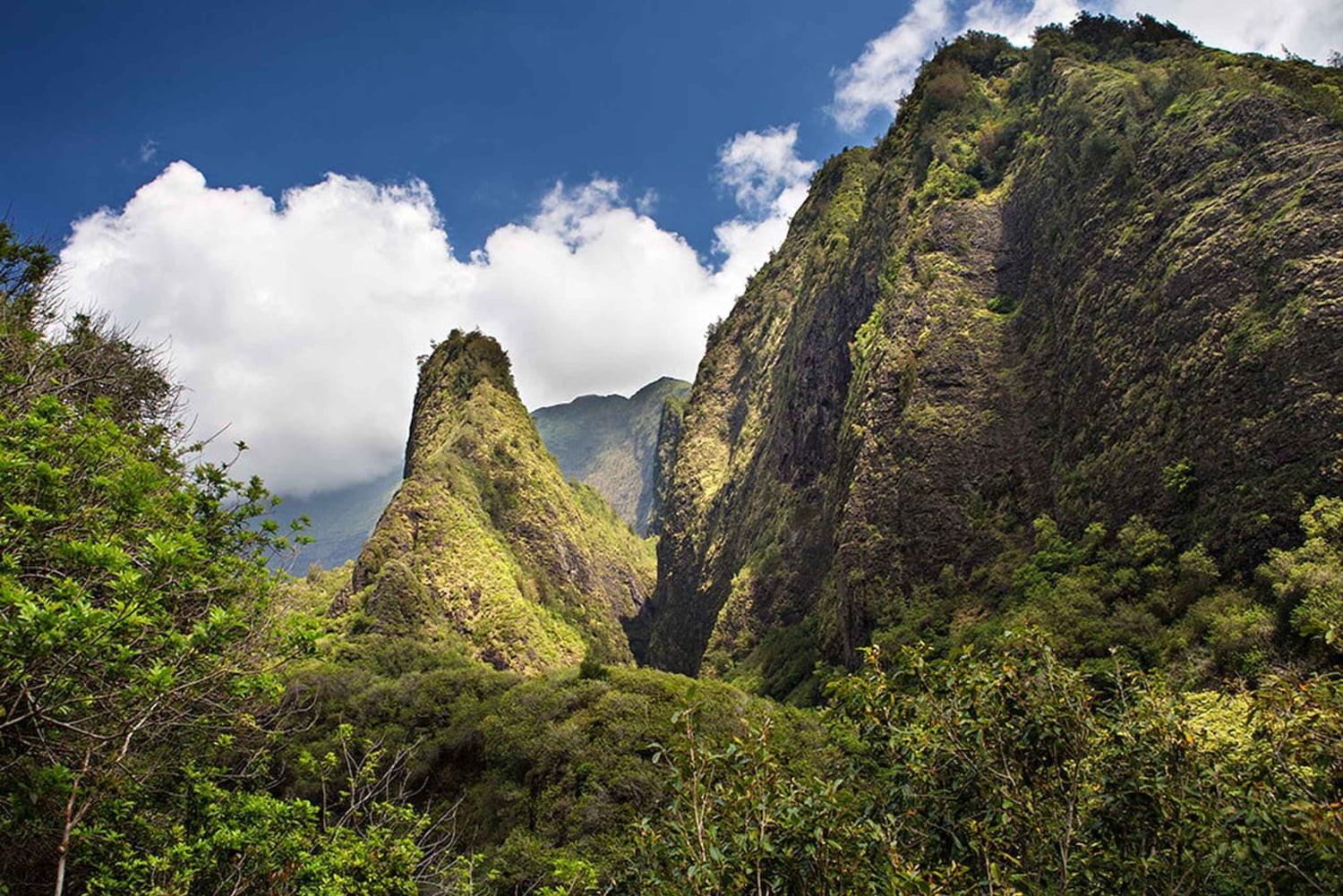 Maui: Det bästa av Maui/Haleakala - Läckerheter, platser och matbitar