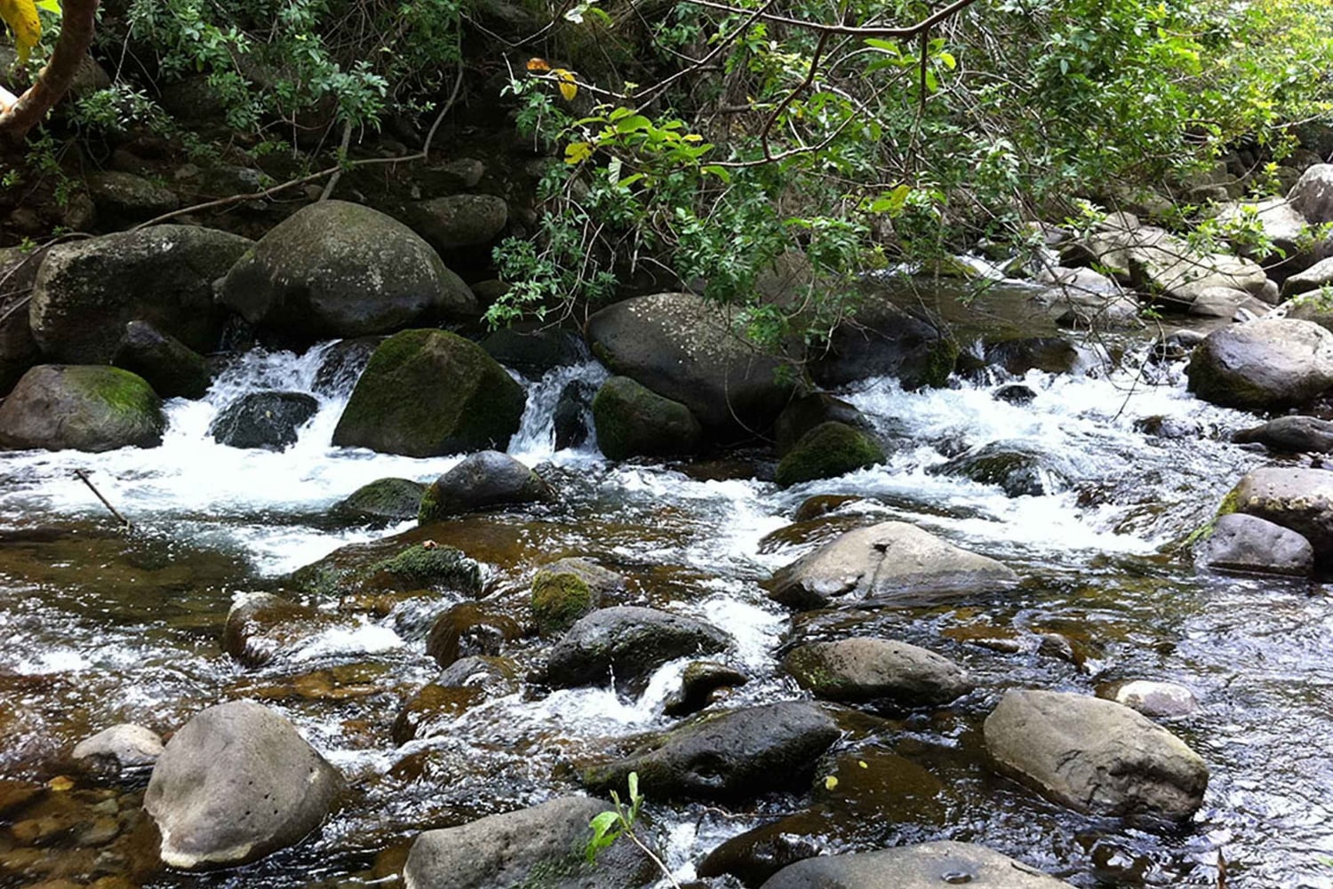 Maui: Det bästa av Maui/Haleakala - Läckerheter, platser och matbitar