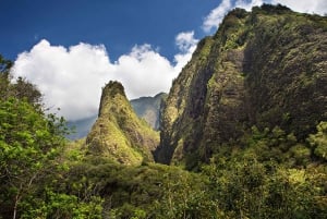 Maui: Det bästa av Maui/Haleakala - Läckerheter, platser och matbitar