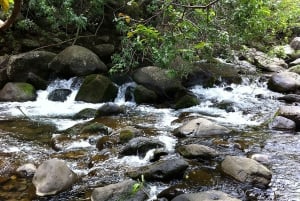 Maui: Det bästa av Maui/Haleakala - Läckerheter, platser och matbitar
