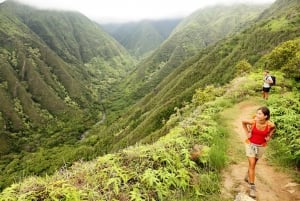 Maui Bundle: Maui: 6 sovelluksen sisäistä ajo- ja kävelykierrosta