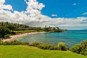 Maui Bundle: 6 In-App Fahr- und Rundgänge Audio-Touren