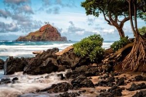 Maui Bundle: 6 In-App Driving And Walking Audio Tours