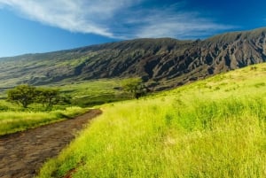 Pacchetto Maui: 6 tour audio a piedi e di guida in applicazione
