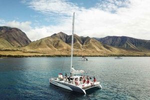 Maui: Catamaran Whale Cruise from Lahaina or Māʻalaea Harbor