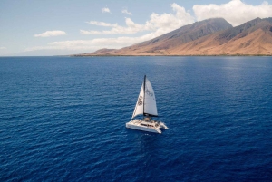 Maui: Deluxe-Schnorcheltour nach Molokini mit Frühstück und Mittagessen