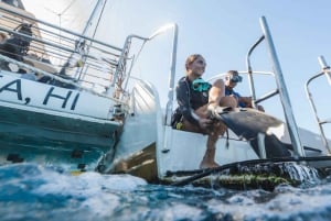 Maui: Snorkeling Deluxe em Molokini com pequeno-almoço e almoço