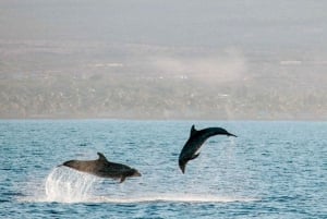 Maui: Snorkeling Deluxe em Molokini com pequeno-almoço e almoço