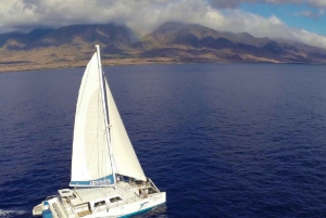 Maui: Dolphin Sailing Adventure with Lunch and Drinks