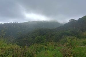 マウイ島：東側ハイキングツアー