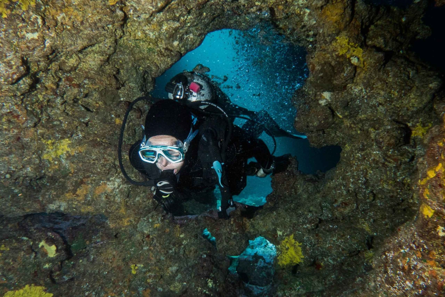 Maui: milieuvriendelijke natuurbeschermingsduik voor gecertificeerde duikers