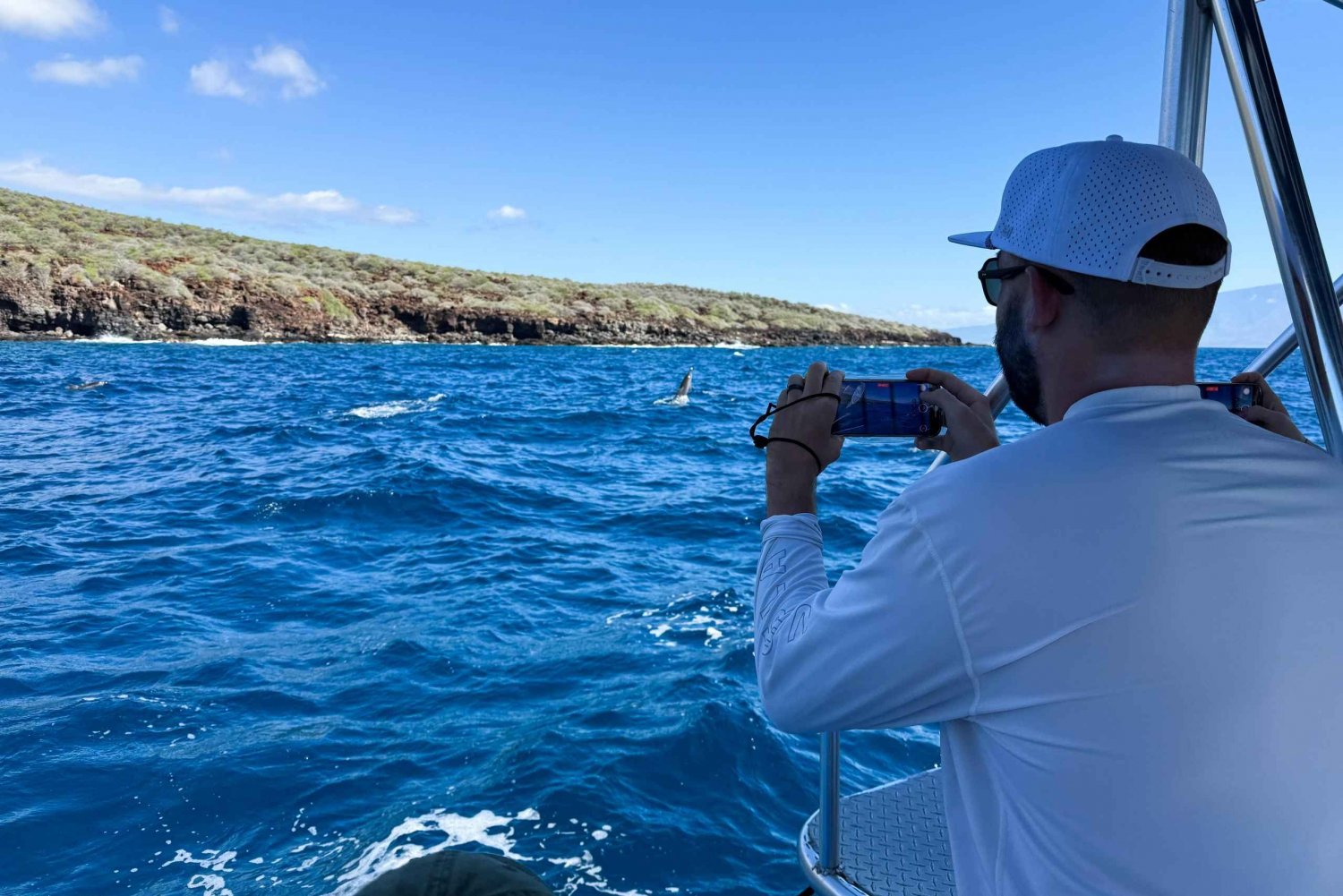 Maui: Eco-Raft Dolphin Watch Tour with Snacks