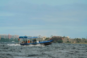 Maui: Excursão de observação de golfinhos em jangada ecológica com snacks