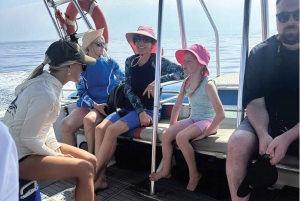 Maui: Excursão de observação de golfinhos em jangada ecológica com snacks