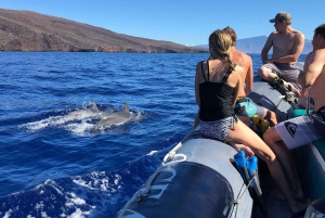 Maui: Excursão de observação de golfinhos em jangada ecológica com snacks