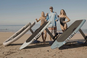 Maui: Efoil-oplevelse på syd- eller vestkysten