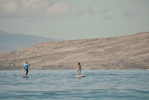 Maui: Efoil-oplevelse på syd- eller vestkysten