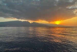 マウイ島：少人数グループで楽しむ最高のホエールウォッチング