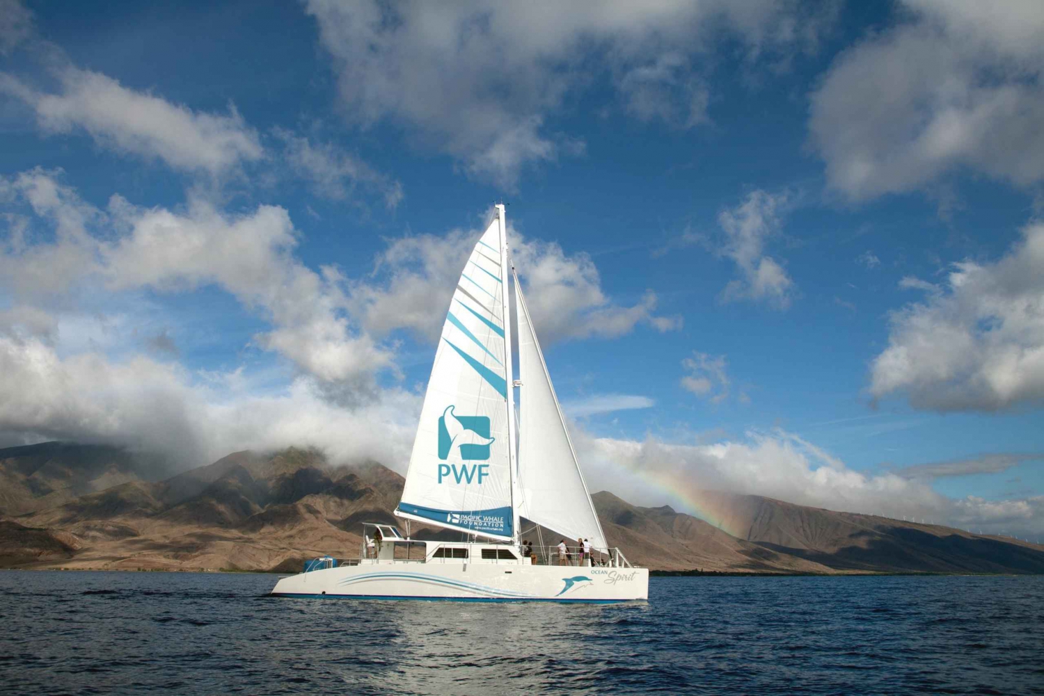 Maui: Yksinomainen Honolua Bayn purjehdus Ma'alaean satamasta