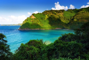 Maui: Full Day Upcountry Tour with Sunset
