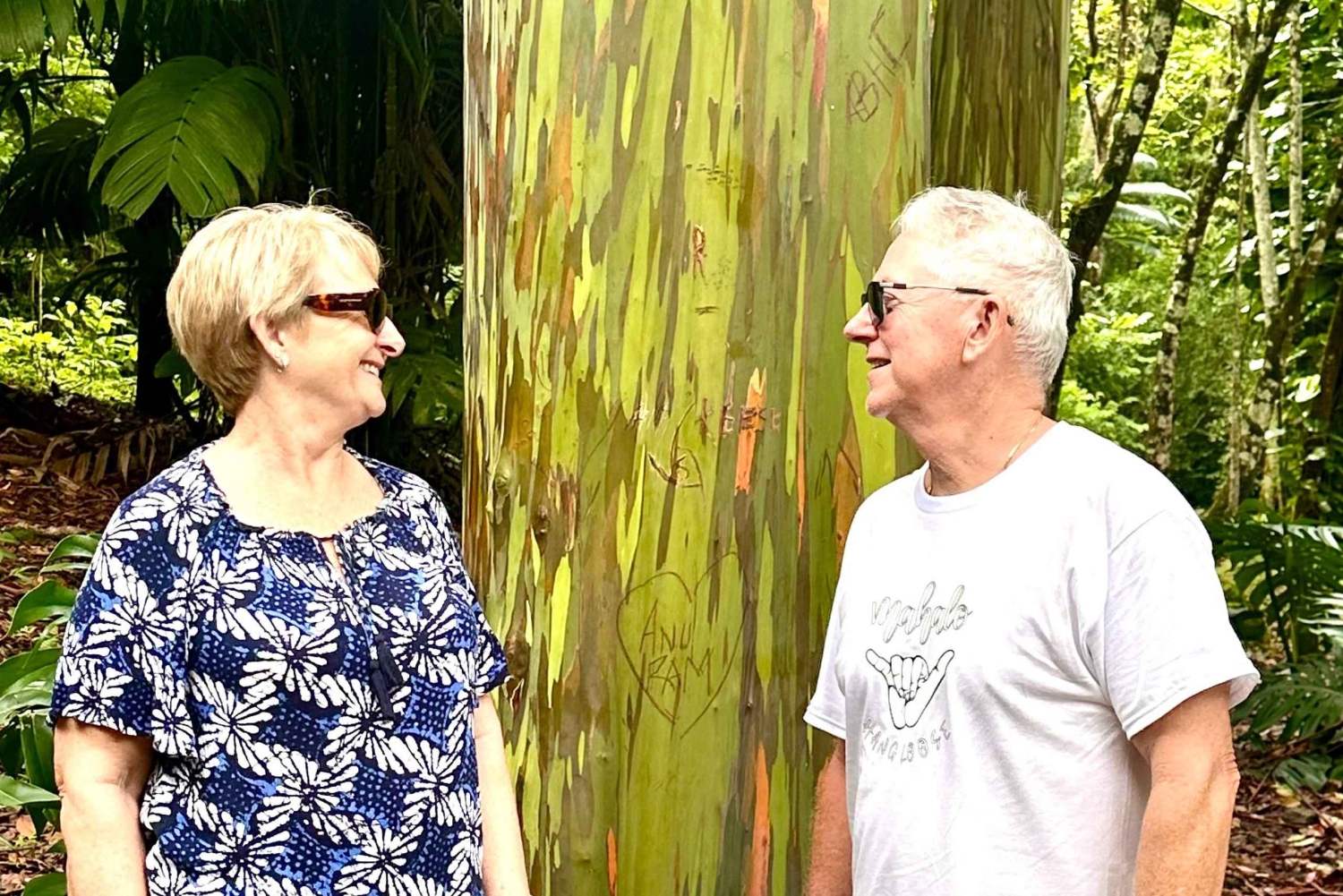 マウイ島：軽食とドリンク付きのハナ 1 日ツアー