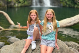 Maui: Ganztagestour nach Hana mit Snacks und Getränken