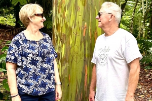 Maui: Ganztagestour nach Hana mit Snacks und Getränken