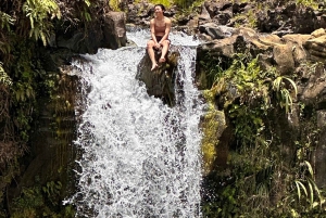 Maui: Ganztagestour nach Hana mit Snacks und Getränken