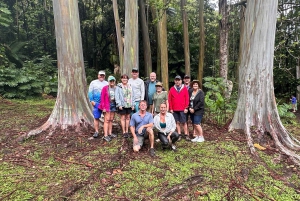 Maui: Ganztagestour nach Hana mit Snacks und Getränken