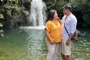 Maui: Ganztagestour nach Hana mit Snacks und Getränken